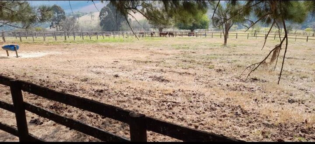 Fazenda, 21 hectares - Foto 5