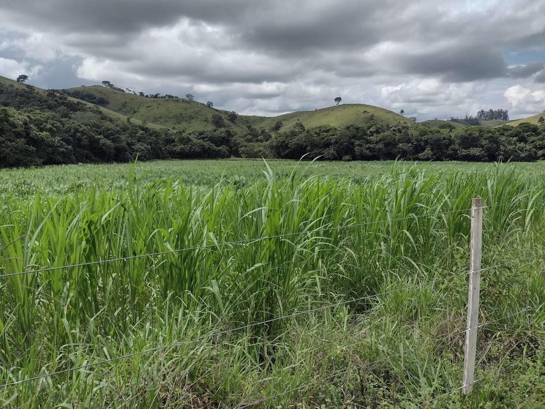 Fazenda em São José dos Campos/São Paulo — Ref 6GCVTR — Imagem 9