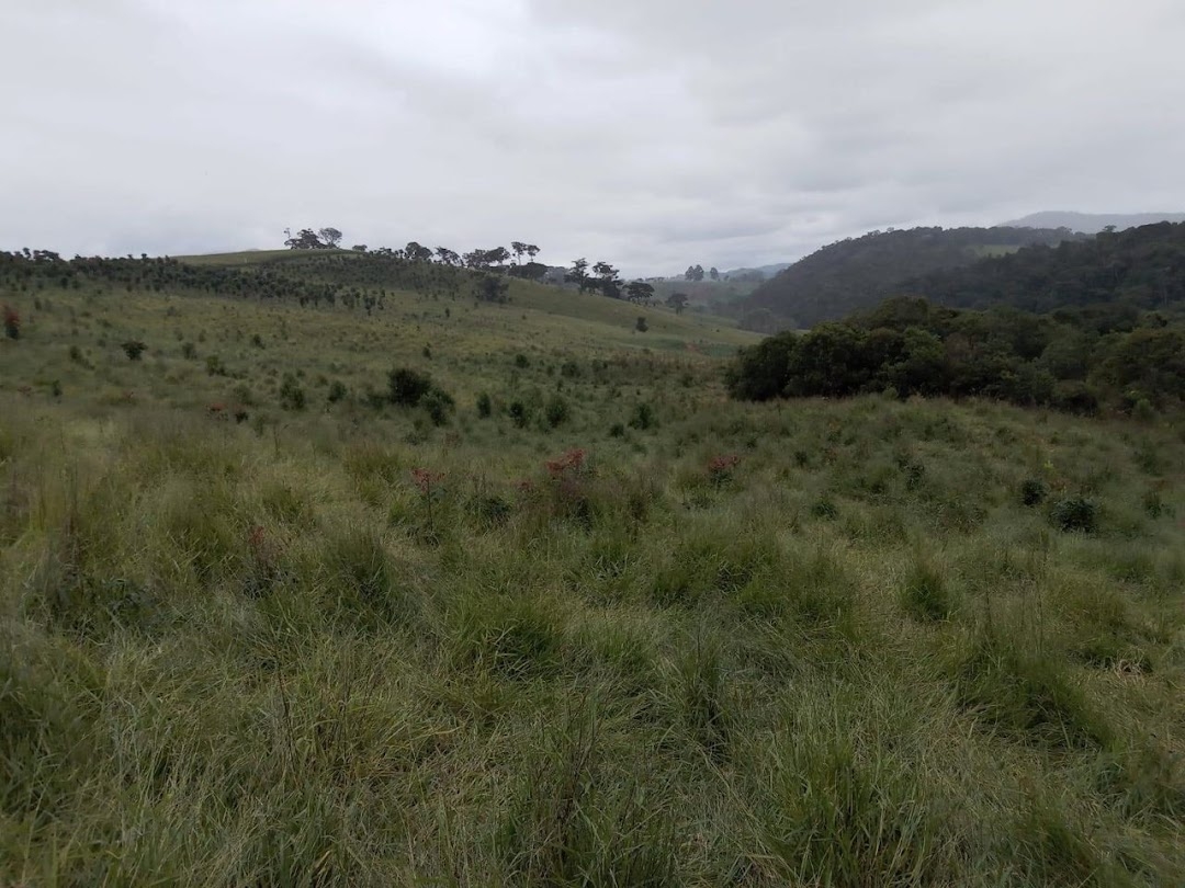 Fazenda, 130 hectares - Foto 2