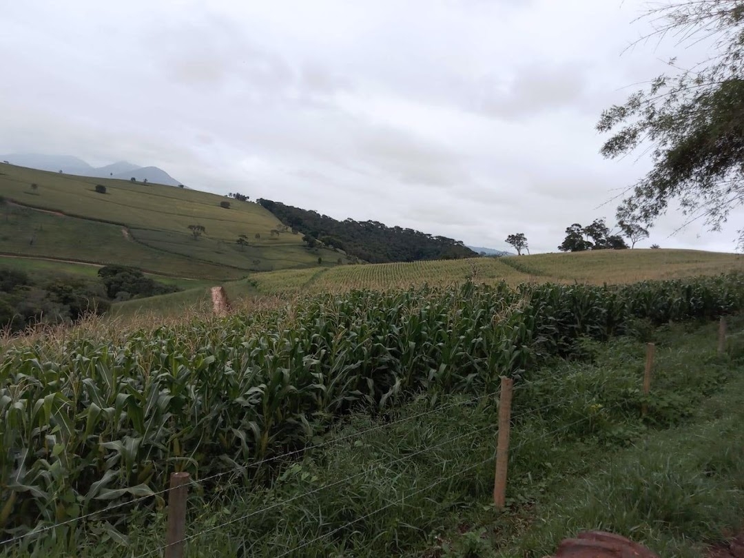 Fazenda em Itamonte/Minas Gerais — Ref S072C1 — Imagem 18