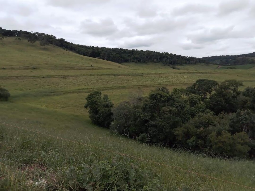 Fazenda em Itamonte/Minas Gerais — Ref S072C1 — Imagem 7