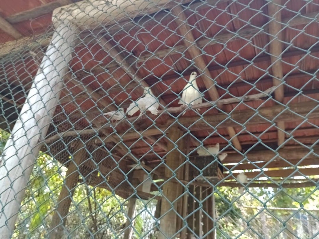 Sítio em Paraibuna/São Paulo — Ref VIZP5R — Imagem 20