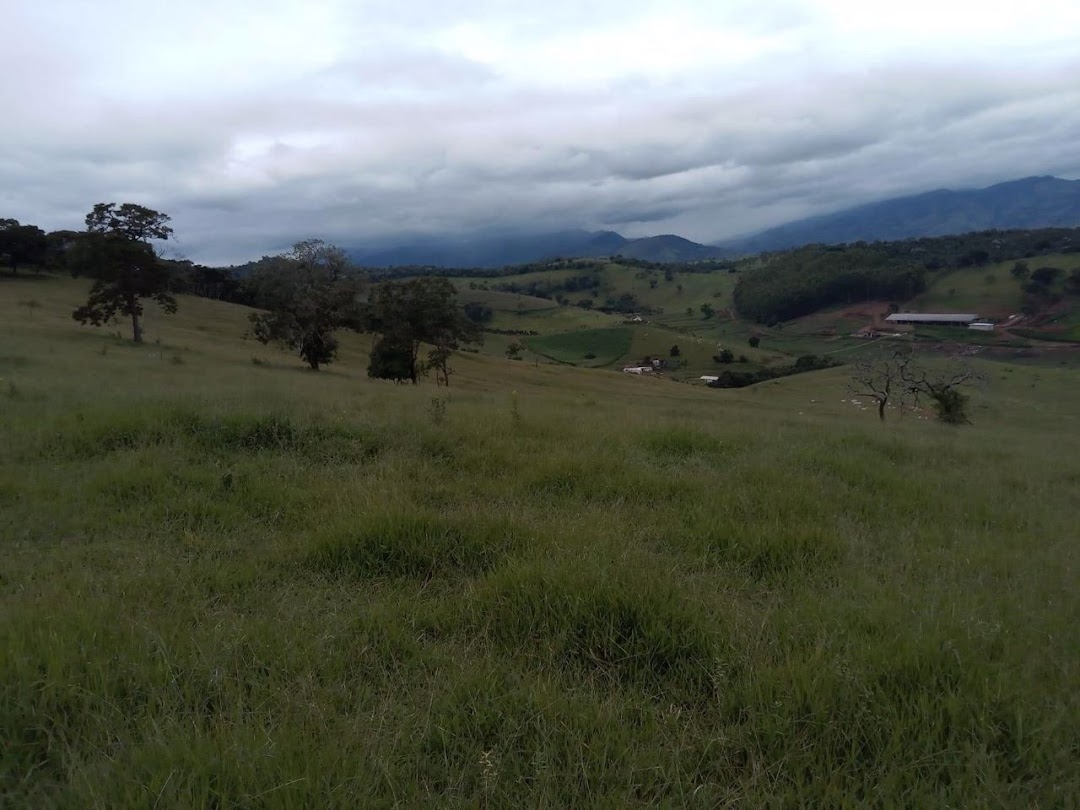 Fazenda, 130 hectares - Foto 5