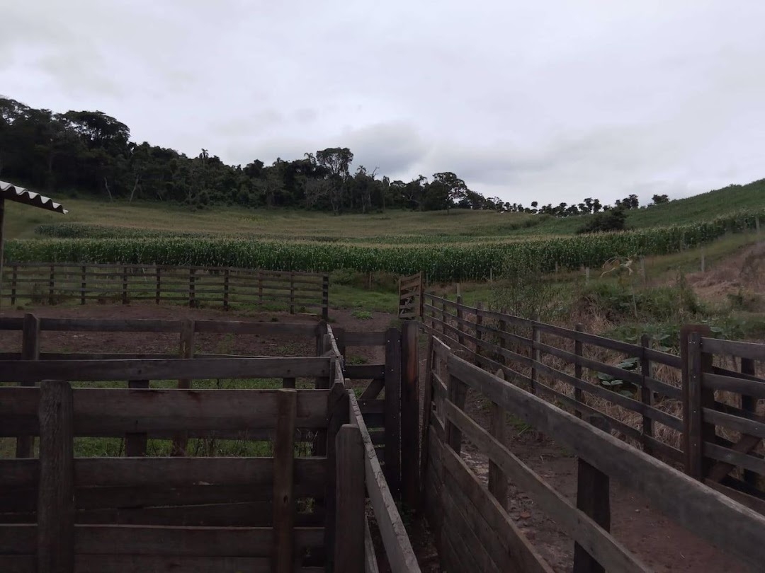 Fazenda em Itamonte/Minas Gerais — Ref S072C1 — Imagem 15