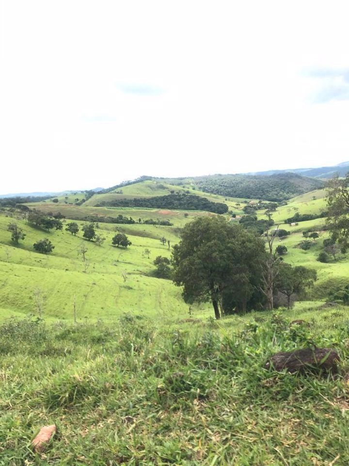 Fazenda-Sítio-Chácara, 605 hectares - Foto 5