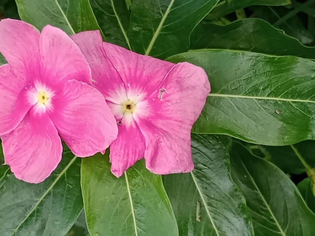 Sítio em Paraibuna/São Paulo — Ref VIZP5R — Imagem 35