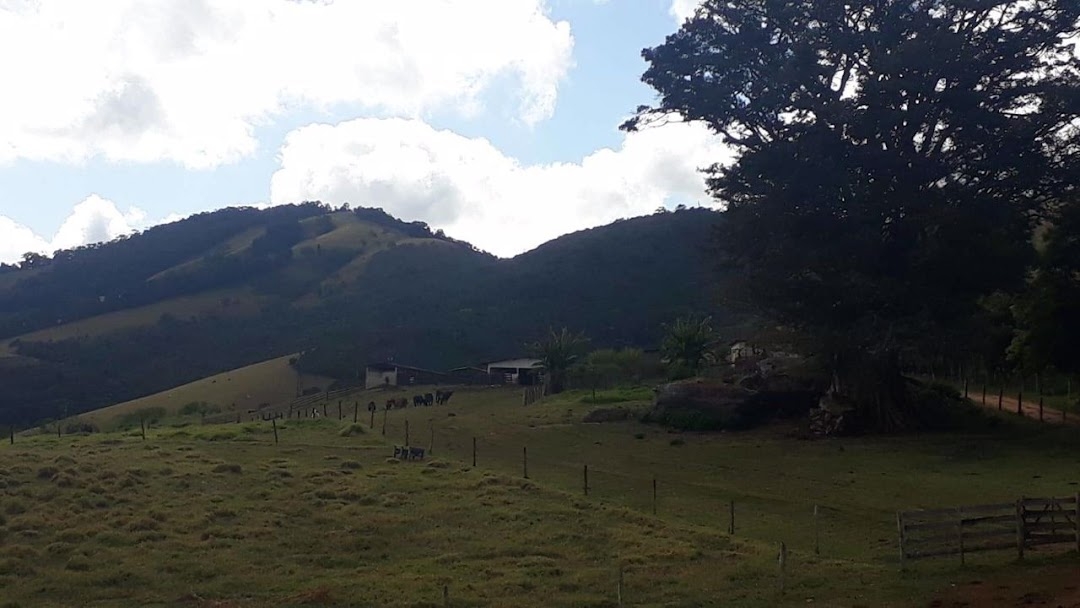 Fazenda-Sítio-Chácara, 505 hectares - Foto 5