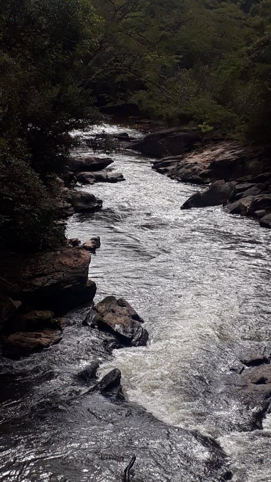 Fazenda-Sítio-Chácara, 505 hectares - Foto 7