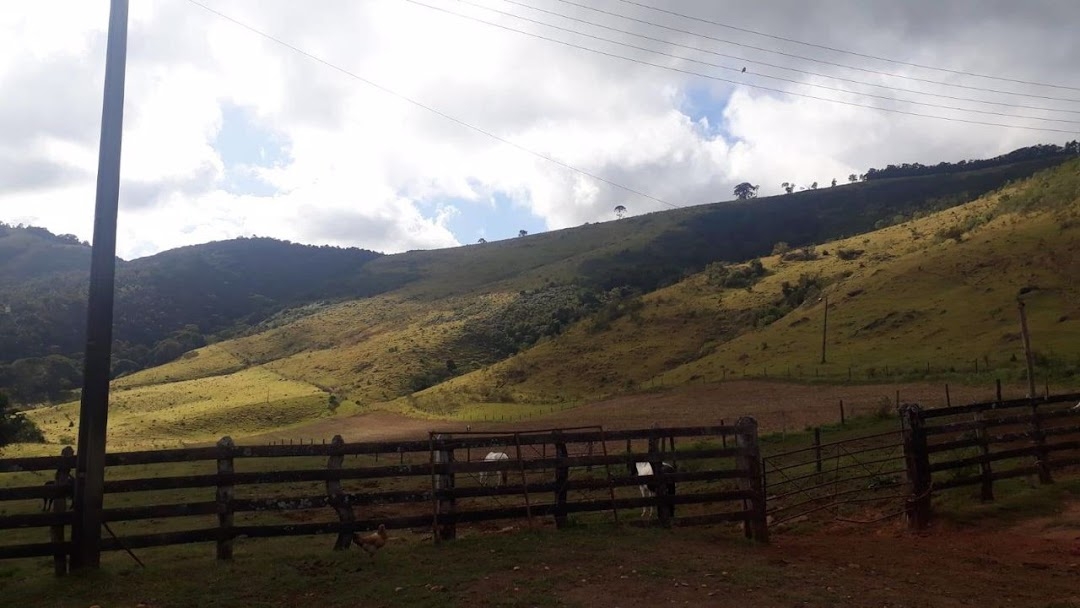 Fazenda-Sítio-Chácara, 505 hectares - Foto 9