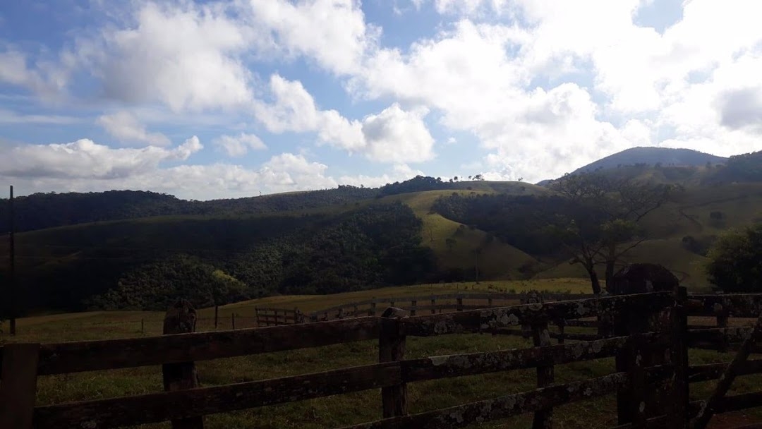Fazenda-Sítio-Chácara, 505 hectares - Foto 10