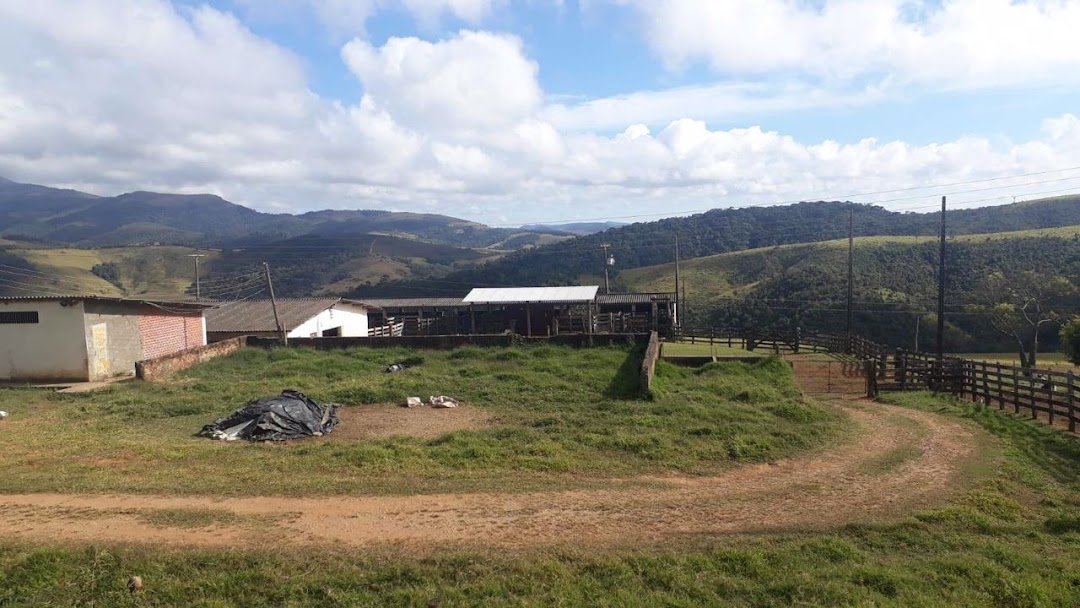 Fazenda-Sítio-Chácara, 505 hectares - Foto 1