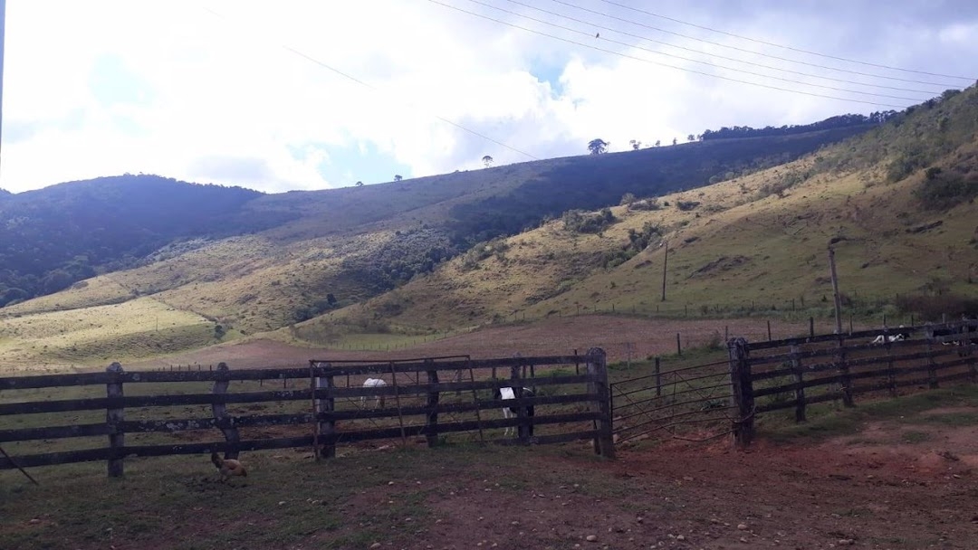 Fazenda-Sítio-Chácara, 505 hectares - Foto 8