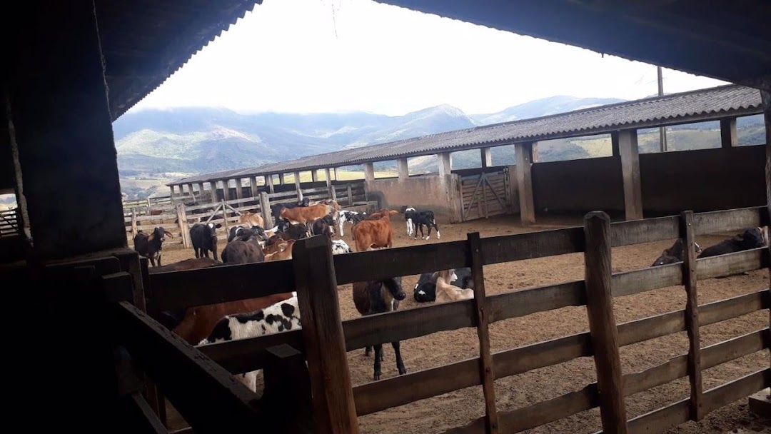 Fazenda-Sítio-Chácara, 505 hectares - Foto 4