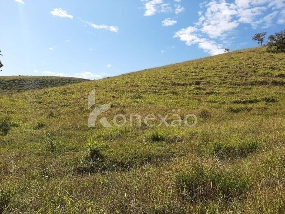 Sítio, 4 quartos, 150 m² - Foto 2