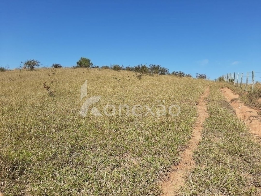 Sítio, 4 quartos, 150 m² - Foto 9