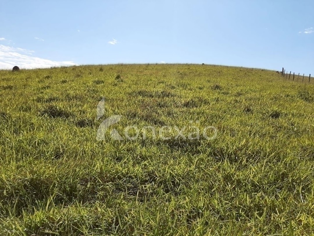 Sítio, 4 quartos, 150 m² - Foto 8