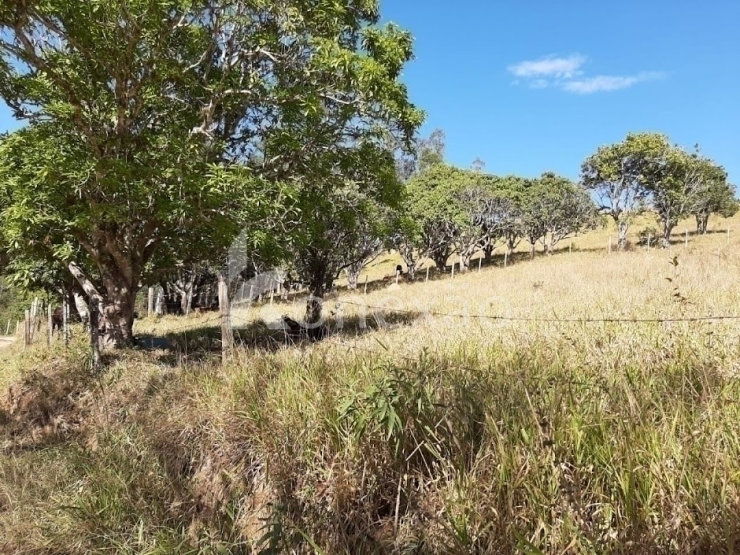 Sítio, 4 quartos, 150 m² - Foto 13