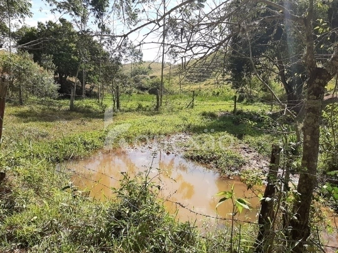 Sítio, 4 quartos, 150 m² - Foto 12