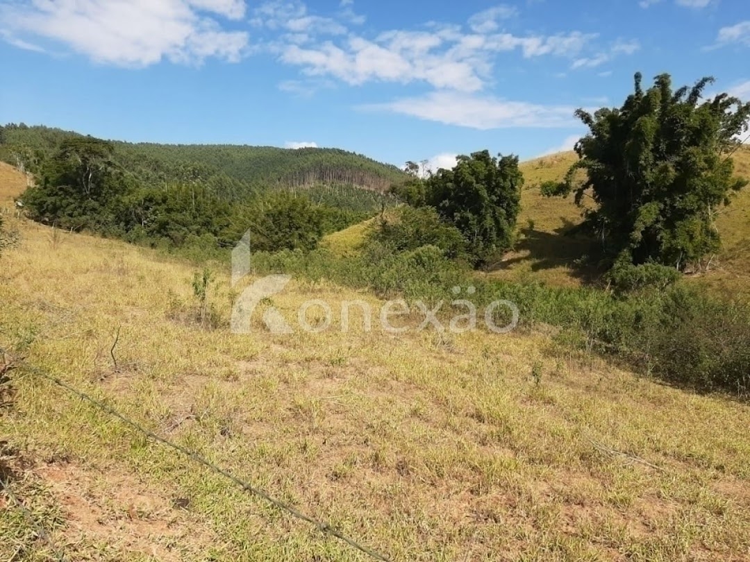 Sítio, 4 quartos, 150 m² - Foto 17