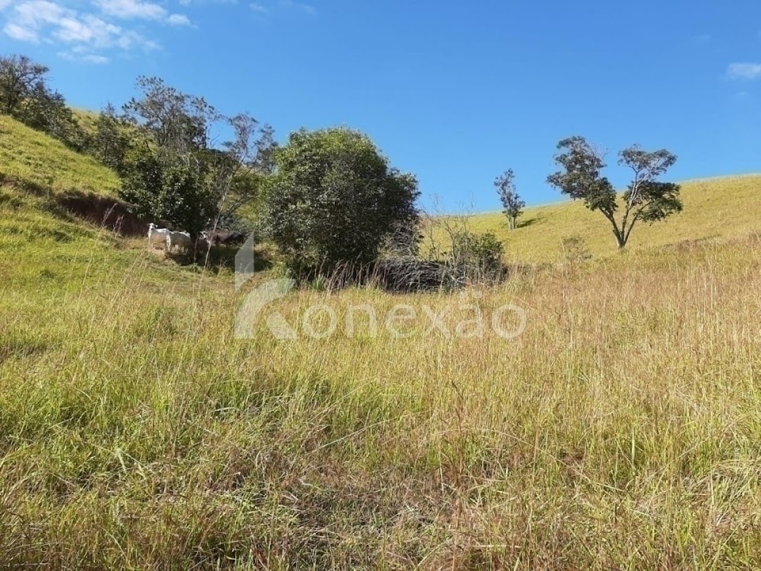 Sítio, 4 quartos, 150 m² - Foto 4