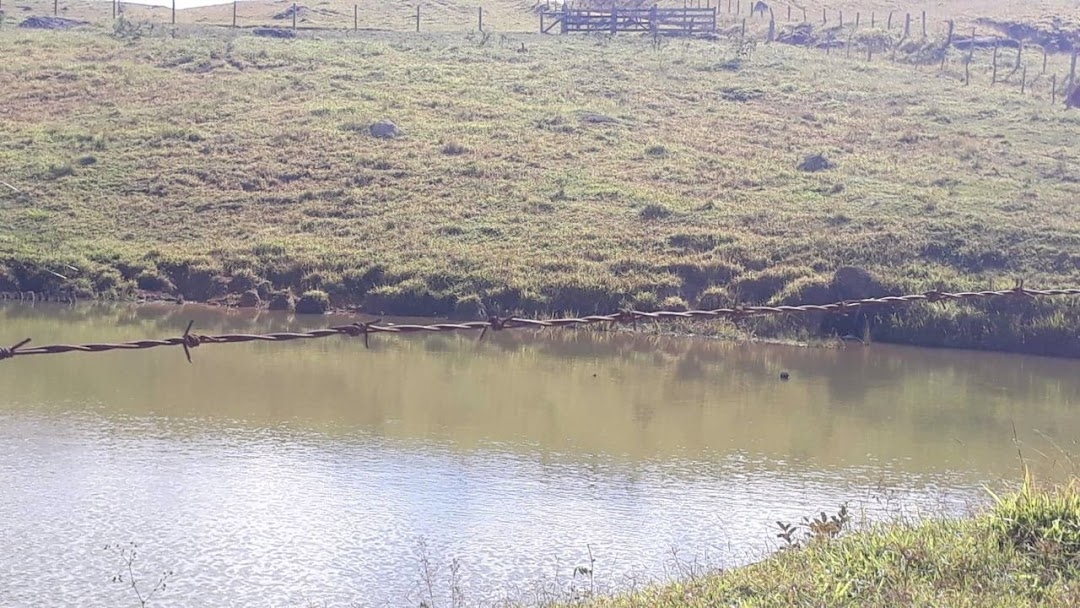 Fazenda-Sítio-Chácara, 505 hectares - Foto 12