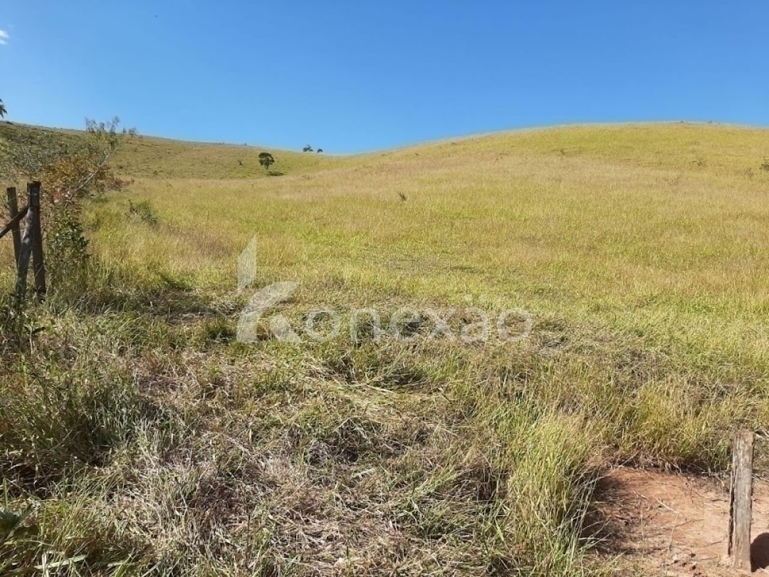 Sítio, 4 quartos, 150 m² - Foto 6