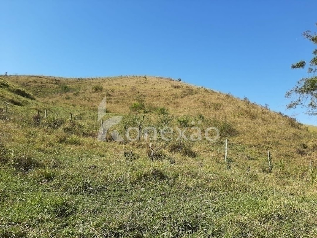 Sítio, 4 quartos, 150 m² - Foto 7