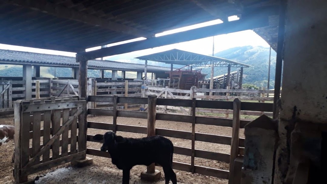 Fazenda-Sítio-Chácara, 505 hectares - Foto 13