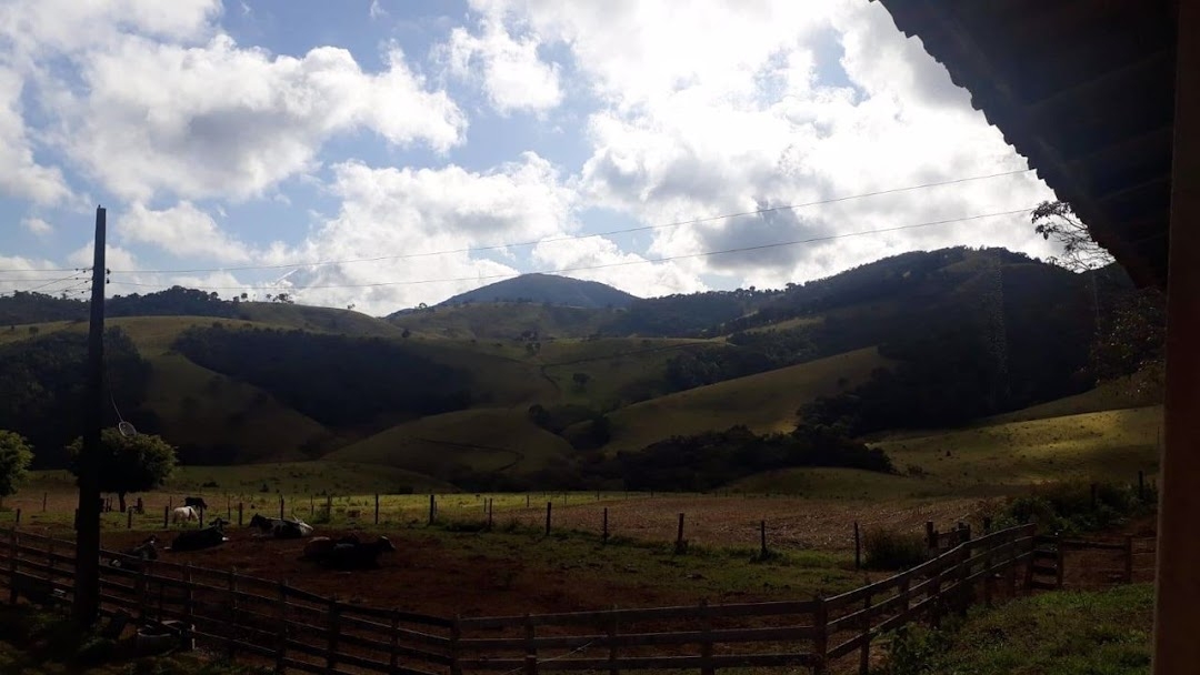 Fazenda-Sítio-Chácara, 505 hectares - Foto 11