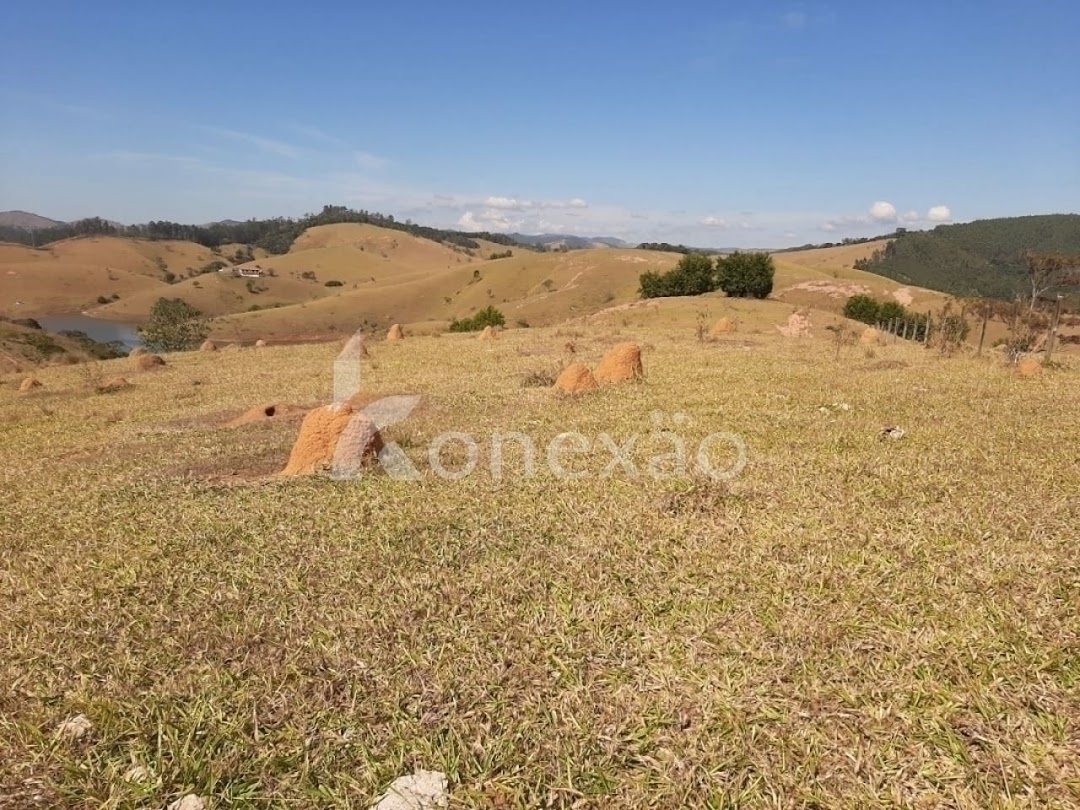 Sítio, 4 quartos, 150 m² - Foto 20