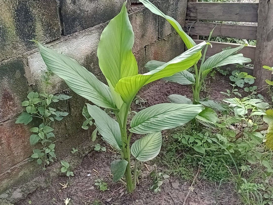 Sítio em Paraibuna/São Paulo — Ref VIZP5R — Imagem 47