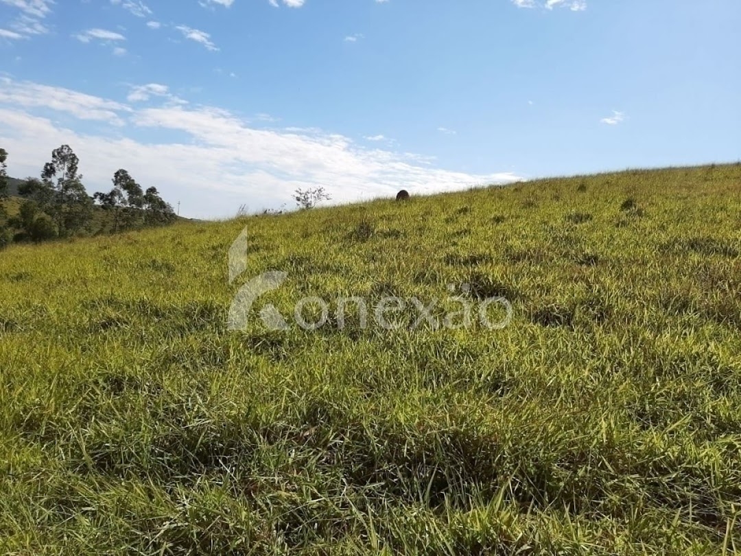 Sítio, 4 quartos, 150 m² - Foto 18