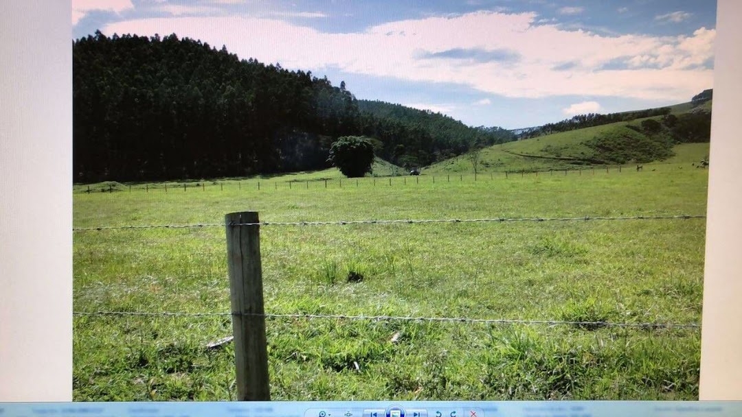 Fazenda-Sítio-Chácara, 97 hectares - Foto 3