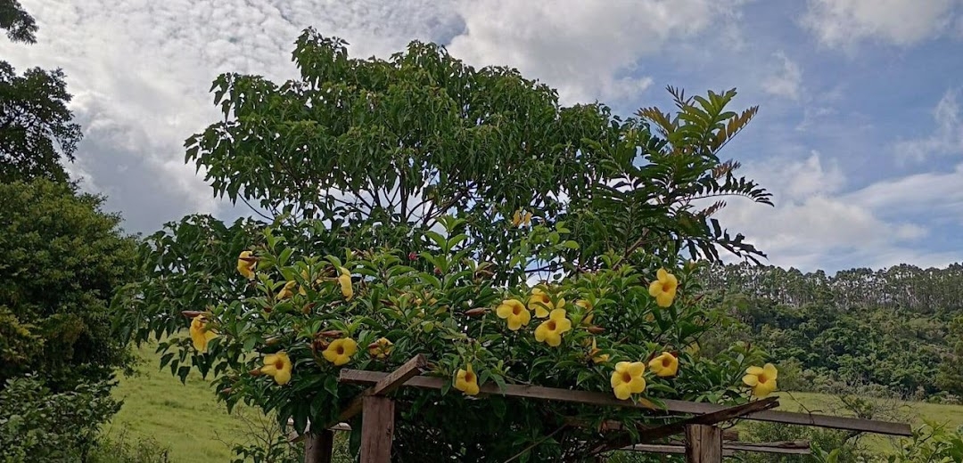 Sítio em Paraibuna/São Paulo — Ref VIZP5R — Imagem 40