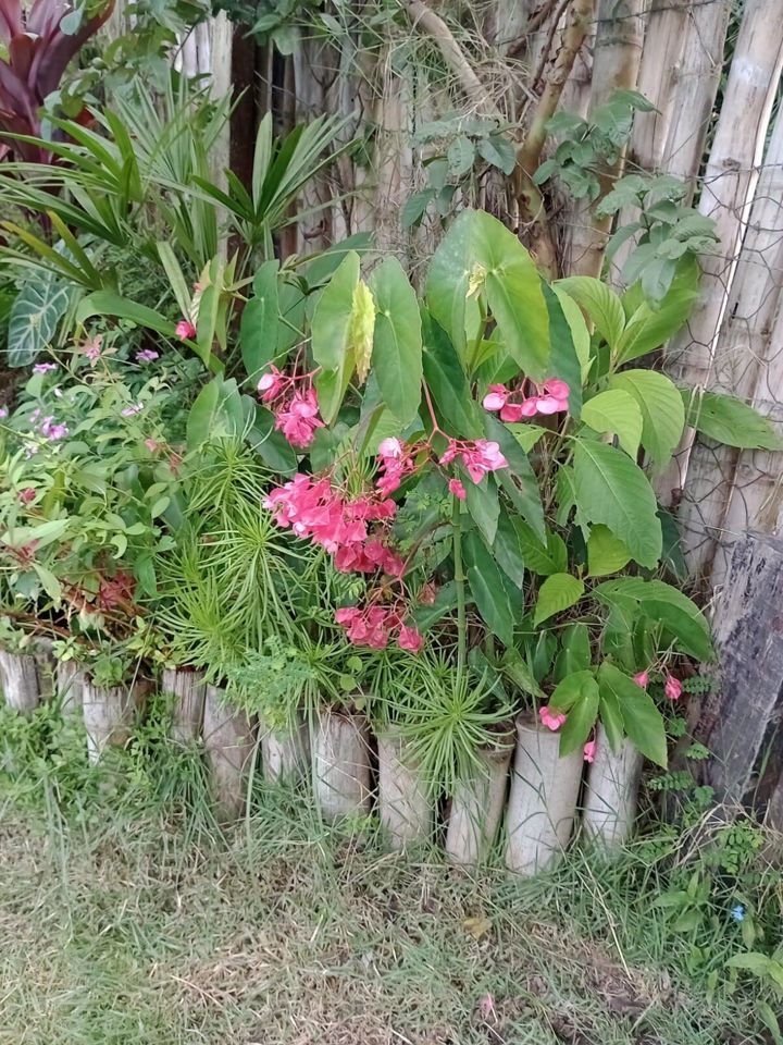 Sítio em Paraibuna/São Paulo — Ref VIZP5R — Imagem 48