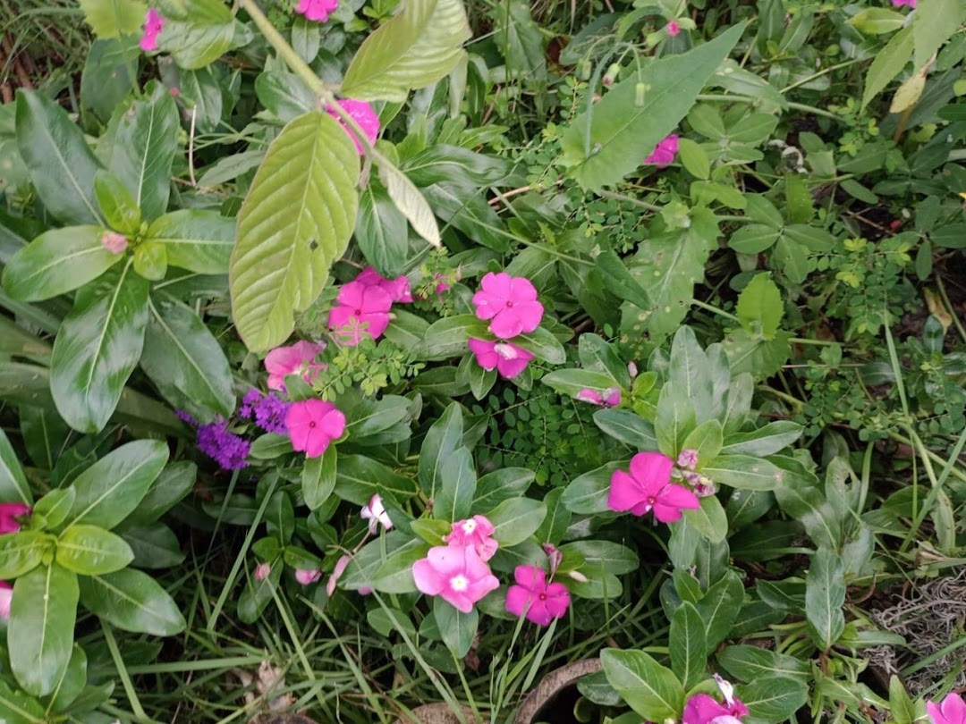 Sítio em Paraibuna/São Paulo — Ref VIZP5R — Imagem 44