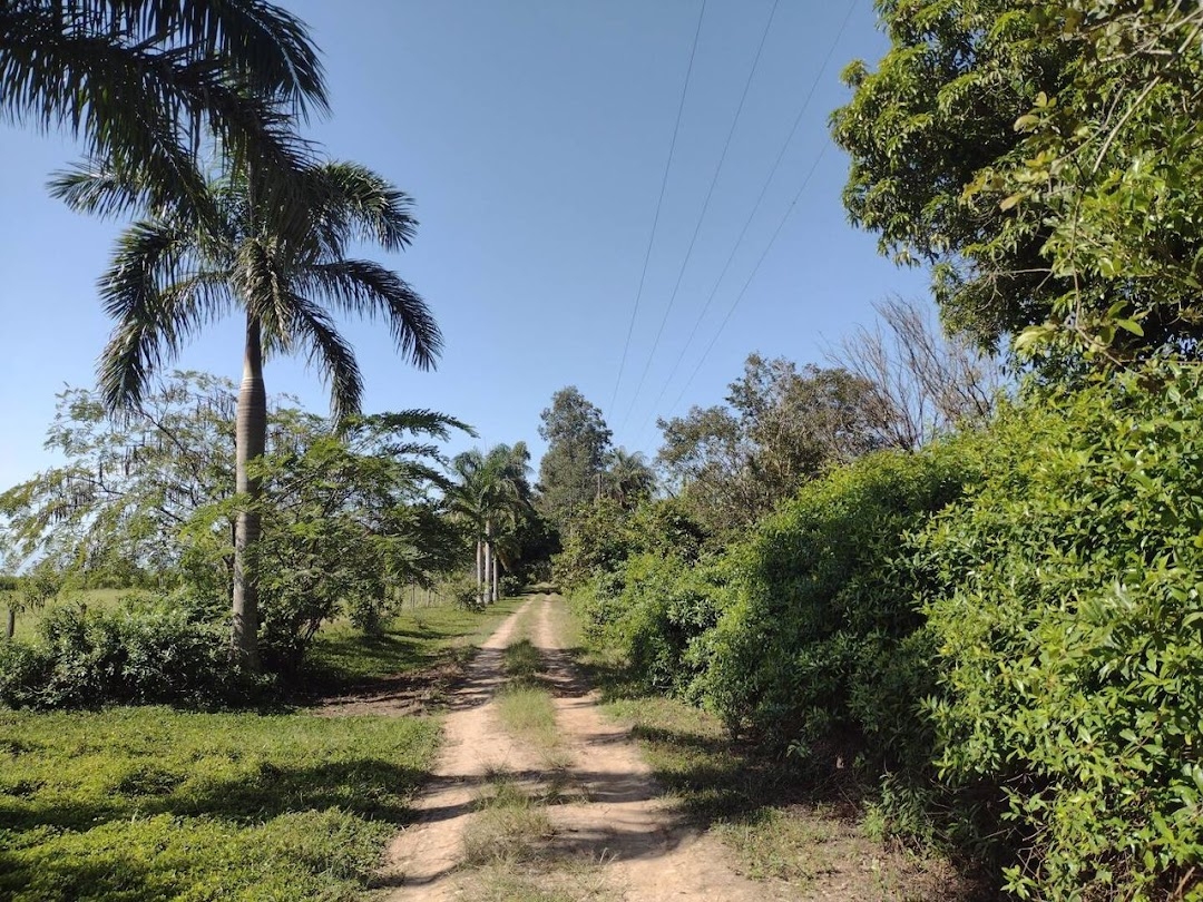 Fazenda, 356 hectares - Foto 6