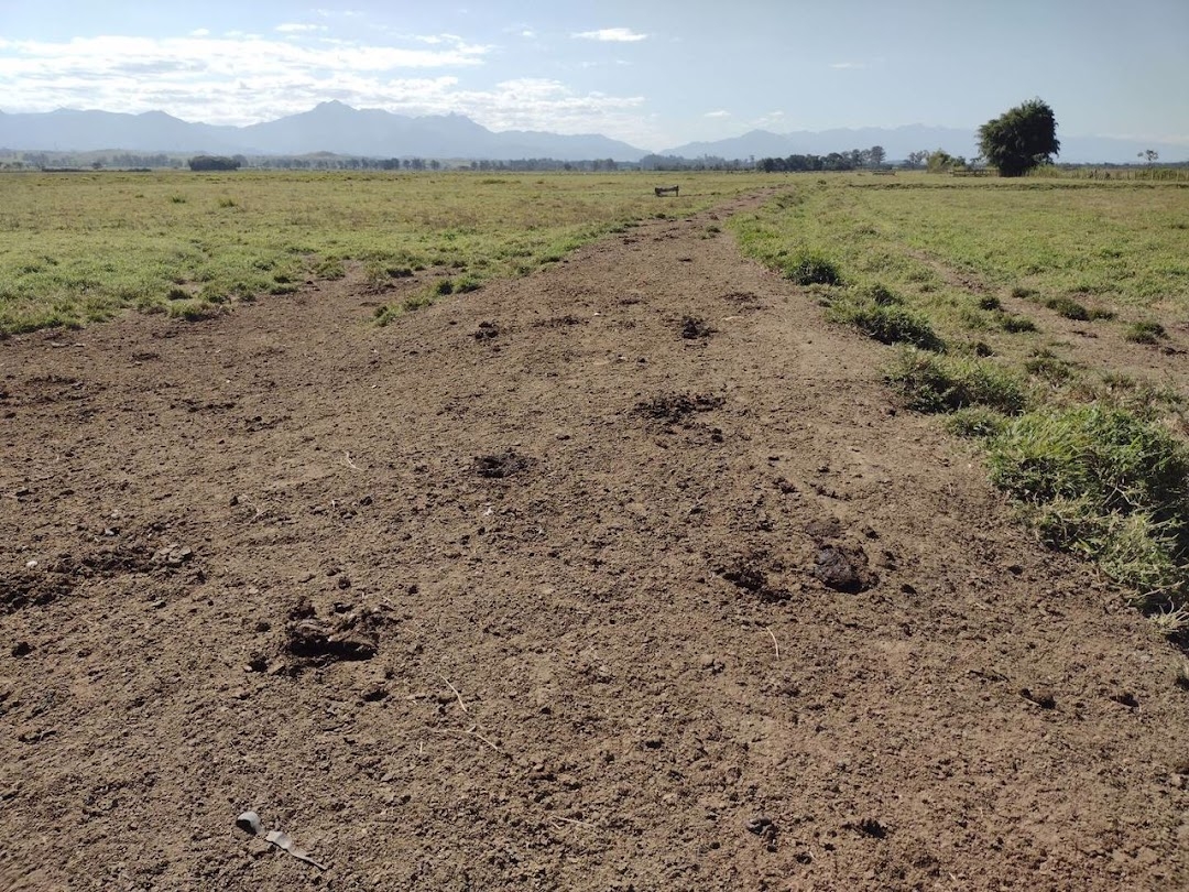Fazenda, 356 hectares - Foto 7