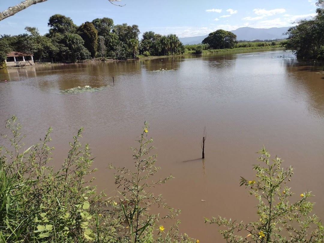 Fazenda, 356 hectares - Foto 8