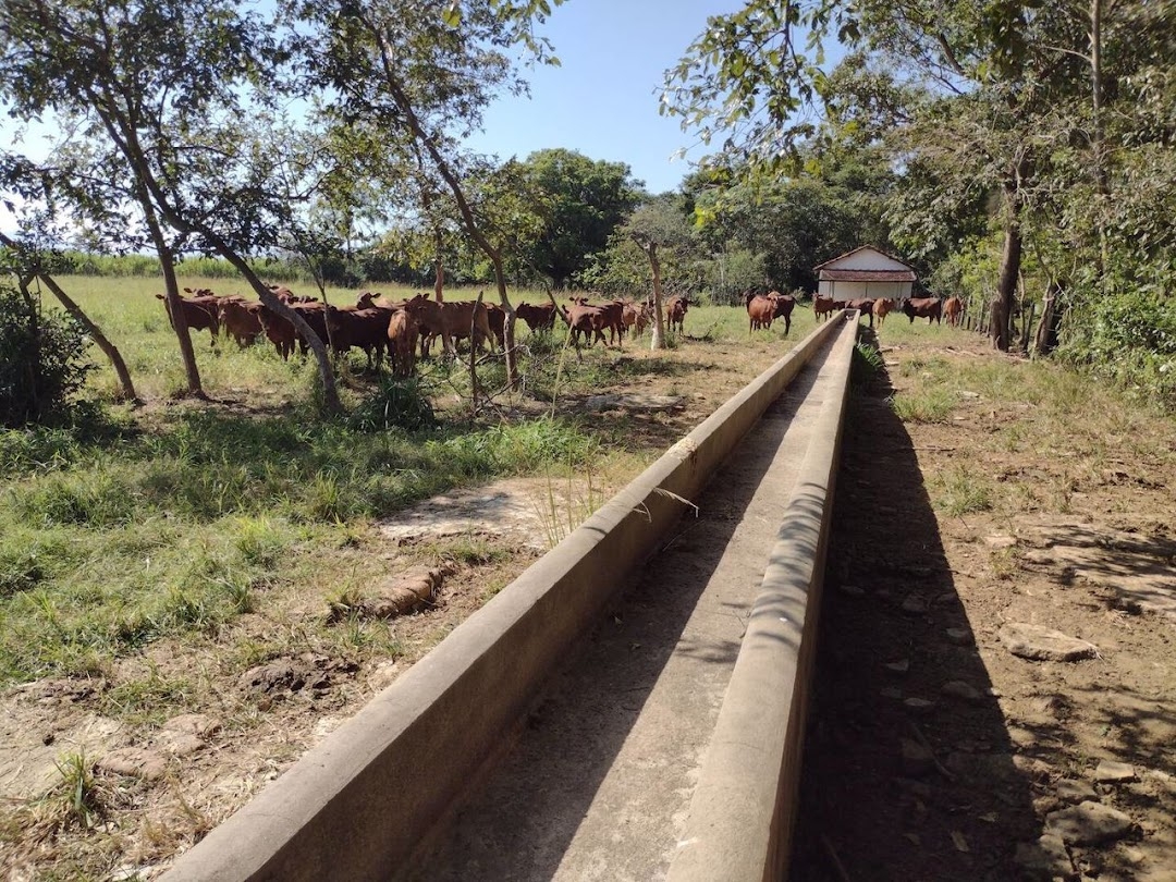 Fazenda, 356 hectares - Foto 15