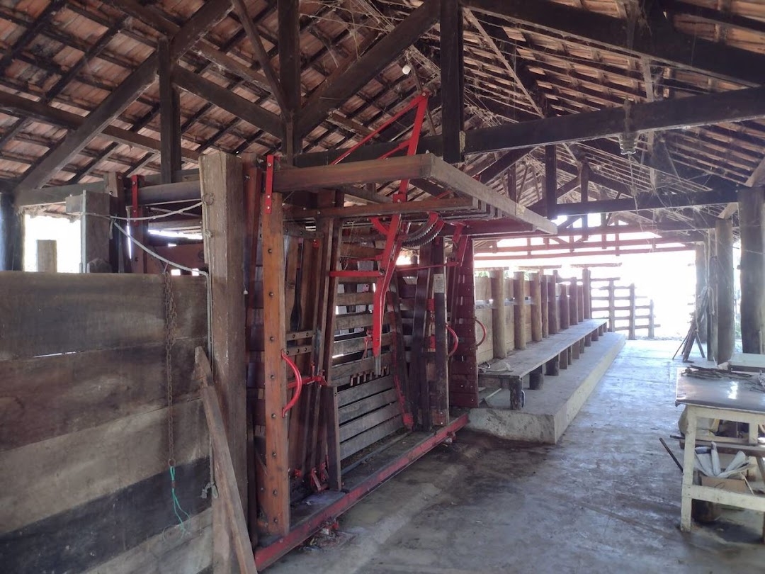 Fazenda, 356 hectares - Foto 13