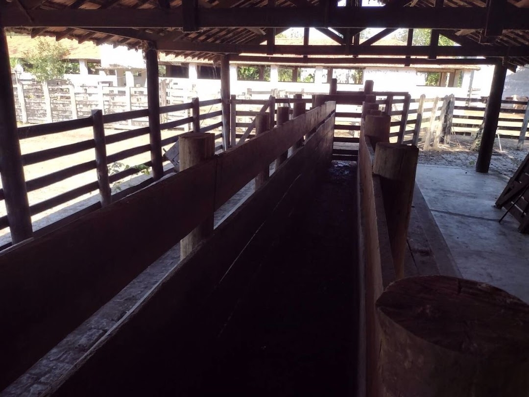 Fazenda, 356 hectares - Foto 12