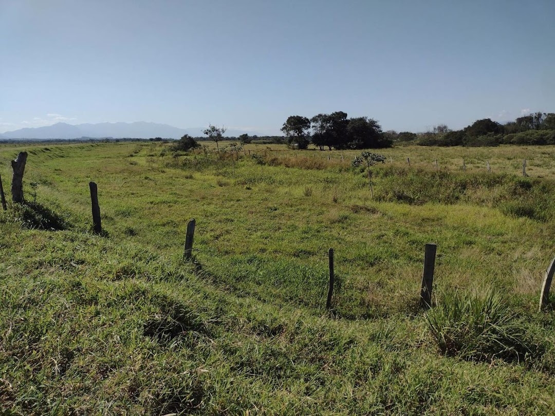 Fazenda, 356 hectares - Foto 19