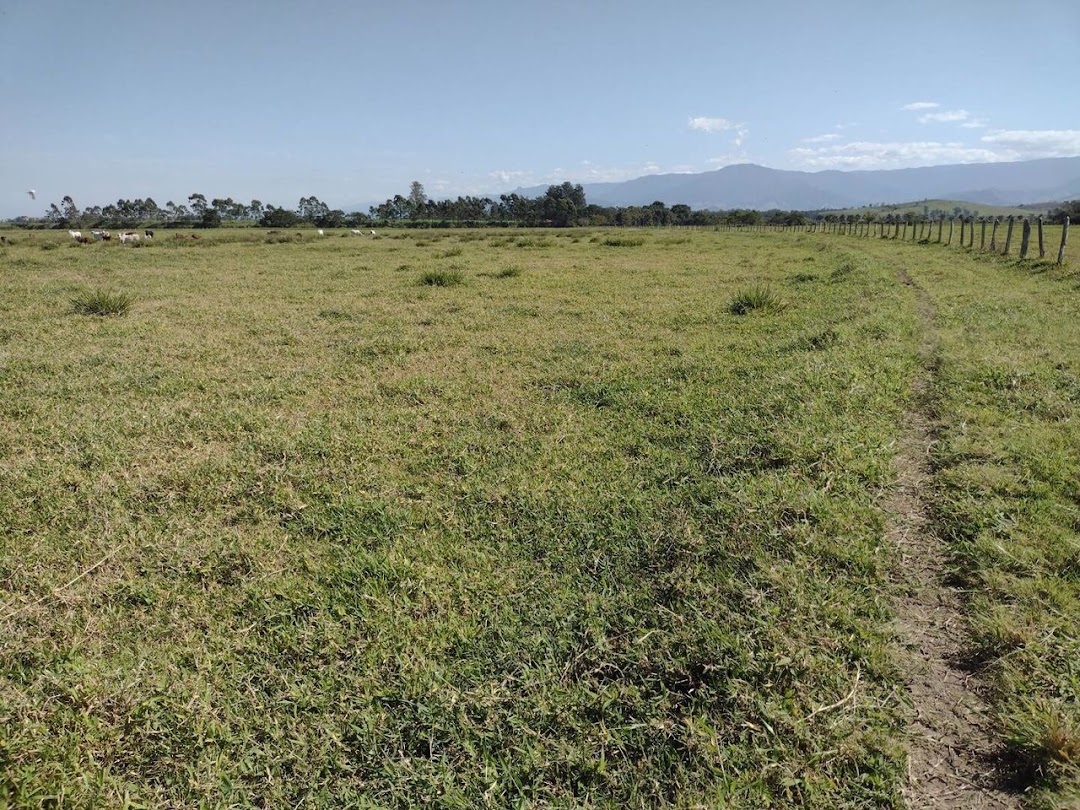 Fazenda, 356 hectares - Foto 22