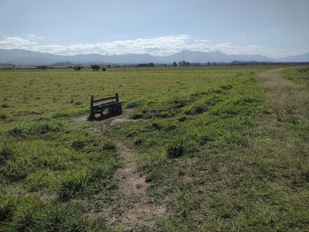Fazenda, 356 hectares - Foto 18