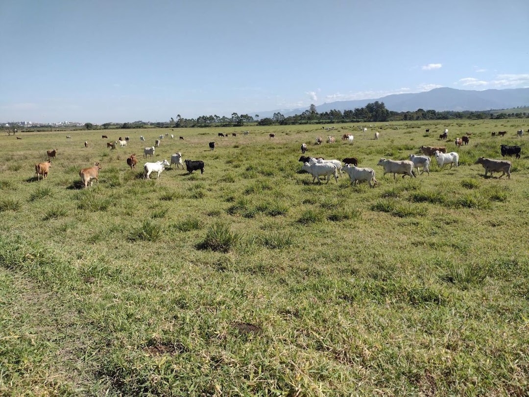 Fazenda, 356 hectares - Foto 20
