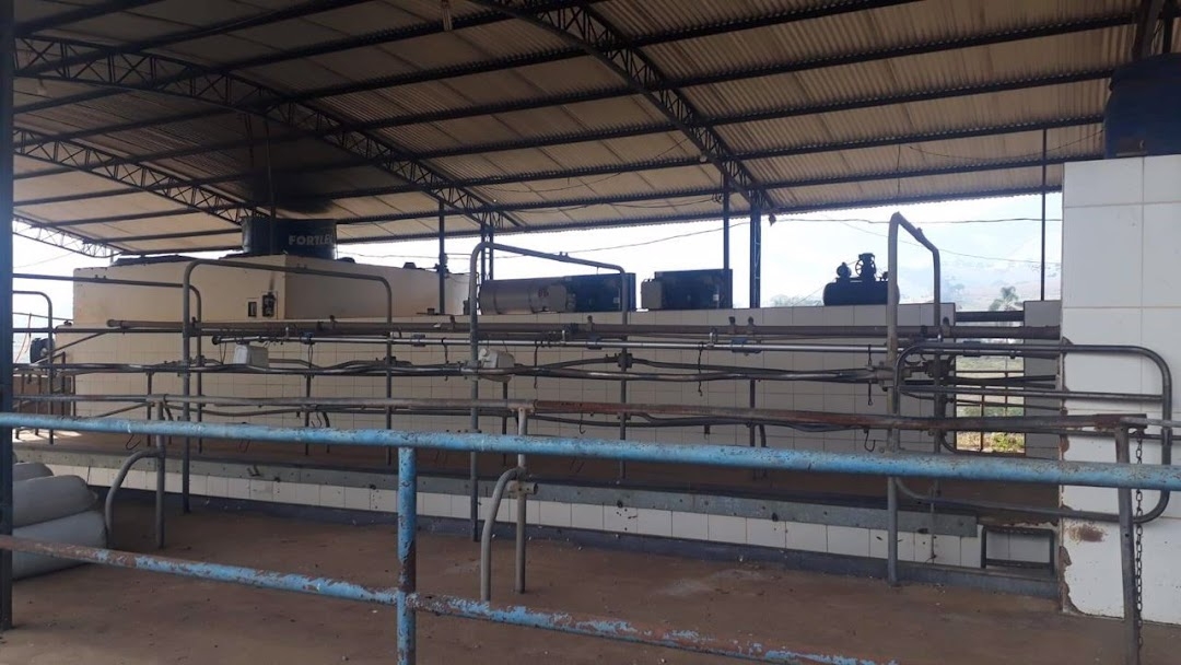 Fazenda-Sítio-Chácara, 230 m² - Foto 5