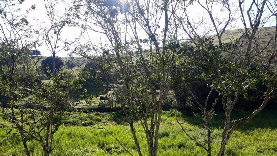 Terreno, 911 m² - Foto 15