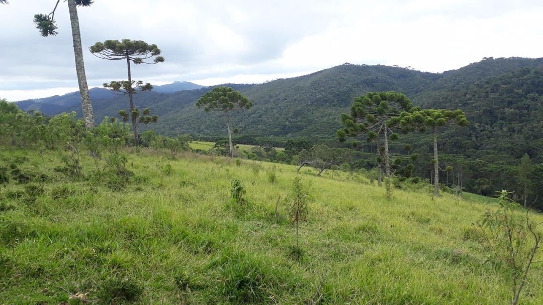 Terreno, 911 m² - Foto 13