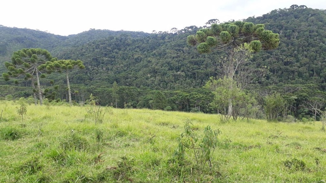 Terreno, 911 m² - Foto 14